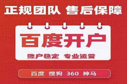 行业专家解析SEM代运营成功案例